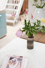 Rose Irisee Au Pays De La Fleur D Oranger Un Espace Particulier Aux Pays Bas Planete Deco Deco Pays Bas