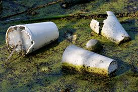 styrofoam in water