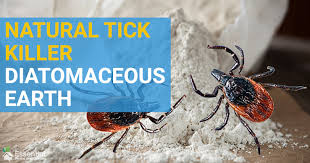 Kill Ticks Naturally With Diatomaceous Earth Essential Home And Garden