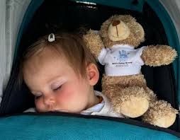 Has anyone seen teddy?