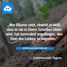 Baum Leben Schatten Spruch Spruche Zitat Zitate Rabindranathtagore Zitate Weisheiten Zitate Ignoranz Zitate