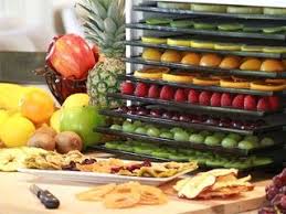 Recette Au Deshydrateur Chips D Avocats Food Dehydrator Recipes Food Lover