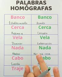 ✅ 12 palabras homógrafas que debes dominar ✅ | Juegos Matemáticos | Facebook