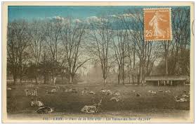 Check spelling or type a new query. 69 Lyon Les Daims Parc Tete D Or