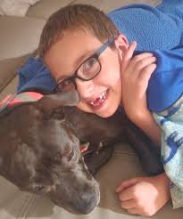 🐶🐱🐴🐢 St Lucie County Lost and Found Pets 🐹🐰🐩🐕