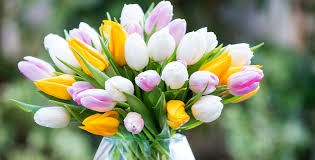 Don't worry, there are some simple steps you can take to get rid of it. The Foolproof Trick For Removing Pollen Stains Appleyard London