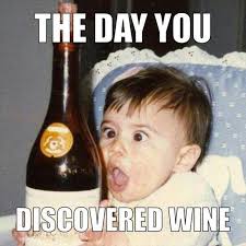 Alcohol May Not Solve Your Problems But Then Again Neither Does Milk 28 Pics Funny Drinking Quotes Wine Humor Drinking Humor
