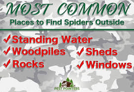 Understand that most bugs spray repellents do not. The 8 Best Outdoor Sprays For Spiders How To Use Them Pest Pointers Tips For At Home Pest Control