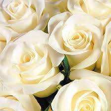 Imagini cu sclipici flori cu sclipici imagini miscatoare 37 imagini. Buchet Special La Multi Ani Cu Livrare Gratuita In Bucuresti