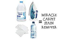 Homemade Carpet Stain Remover No Scrubbing Needed One Good Thing By Jillee Homemade Carpet Stain Remover Stain Remover Carpet Carpet Stains