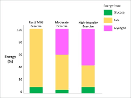 Stored fuels, such as carbohydrates and fats, are not changed into atp; The Role Of Carbohydrate Fat And Protein As Fuels For Aerobic And Anaerobic Energy Production Biomolecules Free Full Text The Regulation Of Fat Metabolism During Aerobic Exercise Html Carbohydrates Provide