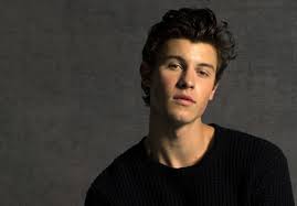 Please wait, the page is loading. Shawn Mendes On Drinking Kanye Governors Ball Rolling Stone