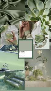 Sage green wallpaper, iphone wallpaper. Pin By Sara S Aesthetics On Collages I Made Sage Green Wallpaper Green Aesthetic Collage Aesthetic Iphone Wallpaper