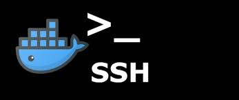Fast data transfer high speed servers hide your ip premium ssh server worldwide servers internet privacy exclusive secure shell security solutions. How To Setup An Ssh Server Within A Docker Container Dev Community