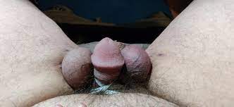 Tiny Cock Tied Up | BDSM Fetish