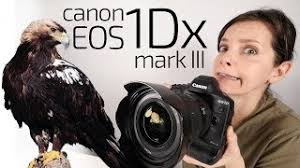 Canon 1dx Canon Gdx Mark Canon 1DX Mark III AMAZING Test On Safari