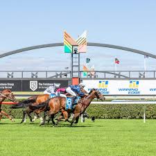 Scott Seamer • Jockey Profile • Racing SA