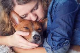 The customer service from reddit is none existent and relies on useless bots for running the place. Everything Landlords Should Know About Emotional Support Animals