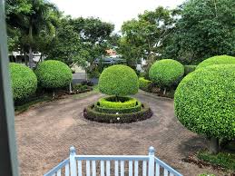 The view from my window