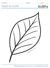 Hojas De Arbol Para Colorear