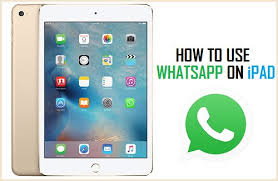 How To Use Whatsapp On Ipad .ipad 2, ipad 3, ipad 4, ipad air, ipad air 2, ipad mini, ipad mini 2, ipad mini 3, ipod classic, ipod mini, ipod nano, ipod shuffle, ipod touch etc.to install whatsapp syncios manager (it is free itunes alternative to easily manage iphone, ipad and ipod without itunes).
