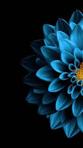 9 Intelligent Cool Tips Coffee Barista Black Coffee Branding Art Coffee Branding Art Black Background Wallpaper Flower Background Iphone Blue Wallpaper Iphone