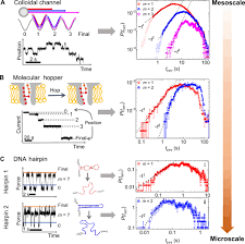 Both passages use facts and details to support the claim that sugar workers in different places used music to express themselves and relieve the pressures of brutal work. Direct Detection Of Molecular Intermediates From First Passage Times Science Advances