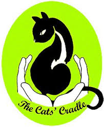 Learn more about the cats' cradle in morganton, nc, and search the available pets they have up for adoption on petfinder. Pets For Adoption At The Cats Cradle In Morganton Nc Petfinder