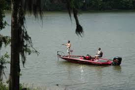 $$, 60 sites, all year, all ages, tents sites: Roland Cooper State Park Set To Reopen Online Only Courierjournal Net