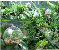 The Existence of the World is Always Unexpected: Jean-Luc Nancy in  conversation with John Paul Ricco