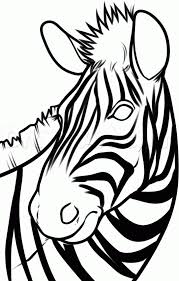 Zebras all have black and white stripe patterns on their body, these this zebra drawing is going to be slightly advanced but if you take your time when going through each step, you will be fine and you will end up with a great. How To Draw A Zebra Head Step By Step Great Plain Animals Animals Free Online Drawing Tutorial Added By Zebra Drawing Animal Sketches Easy Animal Drawings