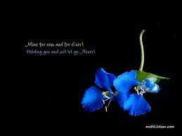 I wanted you to be mine and only mine, but when i plucked you. Quotes About Blue Flowers Quotesgram