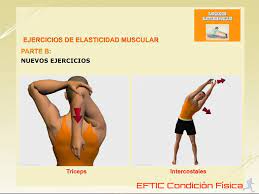 Educasion fisica es la estudia de ejercisio fisical, el movimento del cuerpo humano, y juegos e deportes para ensenar estudiantes y jovenes en la clase de gym. Metodos Medios Y Pruebas De Valoracion De La Flexibilidad Ppt Descargar