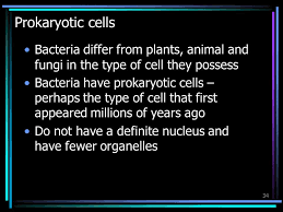 Check spelling or type a new query. 1 The Cell The Basic Unit Of Life 2 Contents The Light Microscope Electron Microscope The Cell Cell Ultrastructure Cell Membrane The Cell Wall Mitochondria Ppt Download