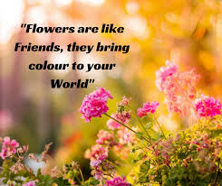 Flowers Are Like Friends They Bring Colour To Your World Flowers Quote Thoughts Peace Quotes Peace Quotes