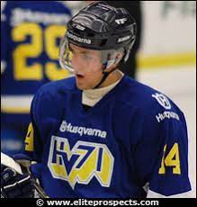 Although he spent the majority of his time on the icehogs, he earned a regular spot on the chicago blackhawks. Elite Prospects Niklas Hjalmarsson Embed Stats