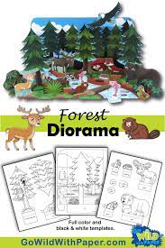 Forest Diorama Project Animal Habitat Activity Habitat Activities Animal Habitats Forest Crafts