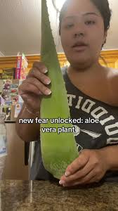 Aloe Vera Plant Oh No