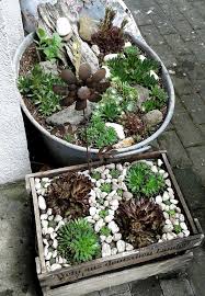 Pin Von Zdenek Castka Auf Succulents In 2020 Zinkwanne Bepflanzen Hauswurz Pflanzen Pflanzen