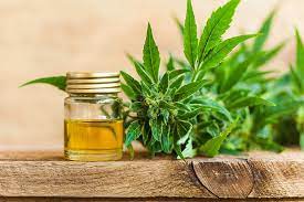 Cbd oil, not to be confused with hemp seed oil, has been traditionally used as an oral tincture. 10 Things You Need To Know Before Vaping Cbd Oil Vaping360