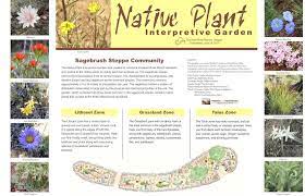 Each year, central oregon's meadows, forests, canyons, and grasslands burst forth with beautiful wildflowers. Native Plants Weeds Friends And Neighbors Of Deschutes Canyon Area