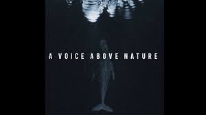 Documentary heaven is another free website which can be used to watch free documentaries online. 26 Free Nature Animal Documentaries You Can Watch Online We Are Explorers