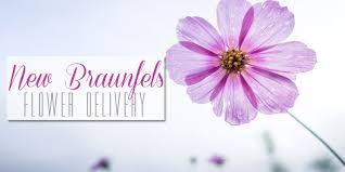 Most florists in new braunfels now deliver right to your doorstep! The 9 Best Options For Flower Delivery In New Braunfels 2021