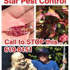 At lone star pest control we provide the service you need when you need it. Star Pest Control 14 Reviews Pest Control Nipomo Ca Phone Number