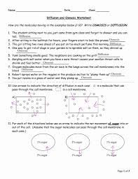Pin On Printable Education Worksheet Templates