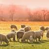 Herdsets & einbauherde im angebot viele backöfen mit ceranfeld modelle aus edelstahl viele bezahlmöglichkeiten. 1