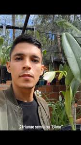 22 de noviembre día de la flor nacional en Colombia.