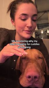 When All Your Dog Wants Is to Cuddle But You Got Company