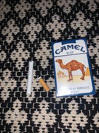 Smoking a pack a day of camel's full cigarette flavor would cost one thousand one hundred thirty one dollars and thirteen cents per year buying by the cartoon. By Cutting Off The Filter Will Smoking This Cigarette Be Like Smoking A Camel Stud Just Curious And Experimenting Cigarettes