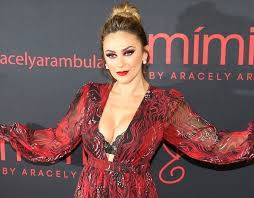 Изучайте релизы aracely arámbula на discogs. Aracely Arambula Cuenta Como Fue Que Vivio Un Gran Amor Con Luis Miguel Los Angeles Times